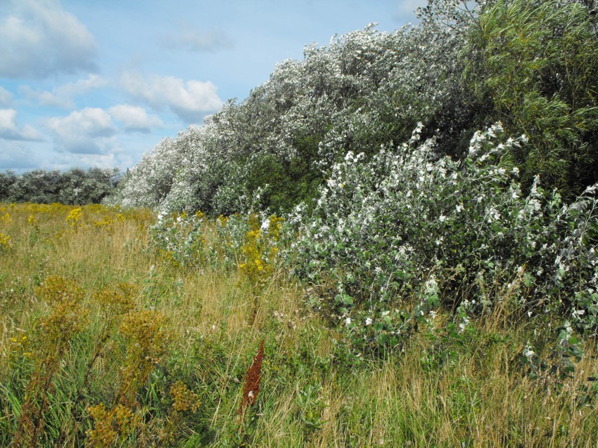 D�nemark2011 (4)
