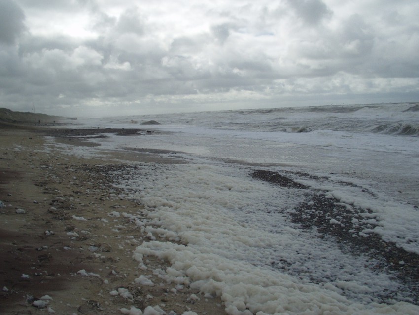 D�nemark2011 (6)